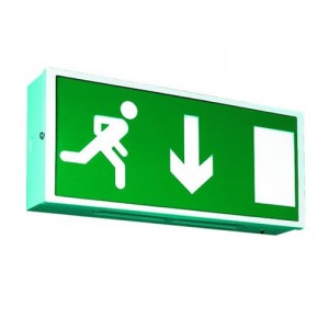 Large-ES Exit light
