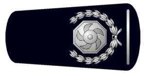 AM Rank Markings